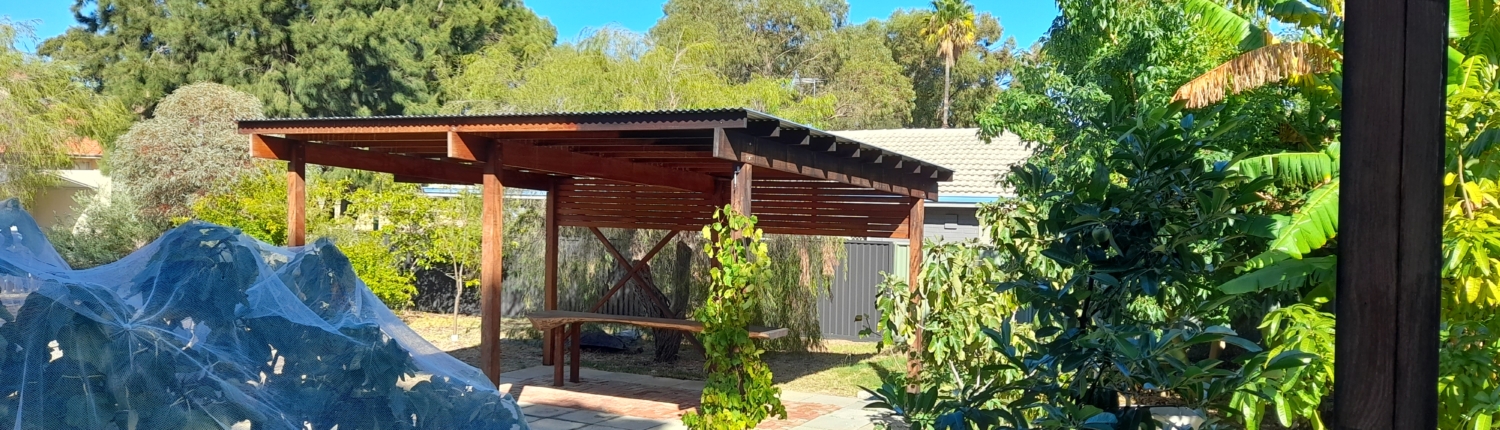 20230403_orchard view